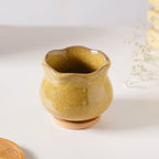 Botanica Ochre Ceramic Planter With Coaster