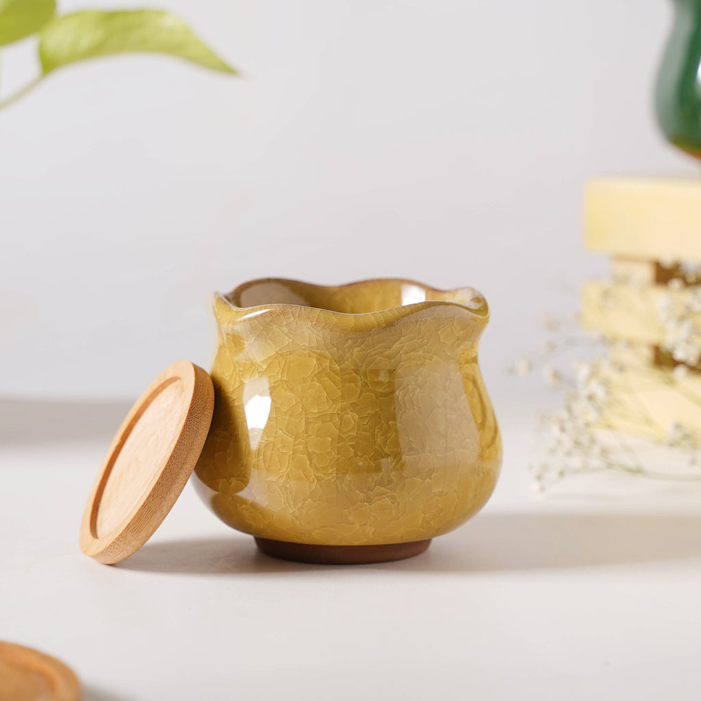 Botanica Ochre Ceramic Planter With Coaster