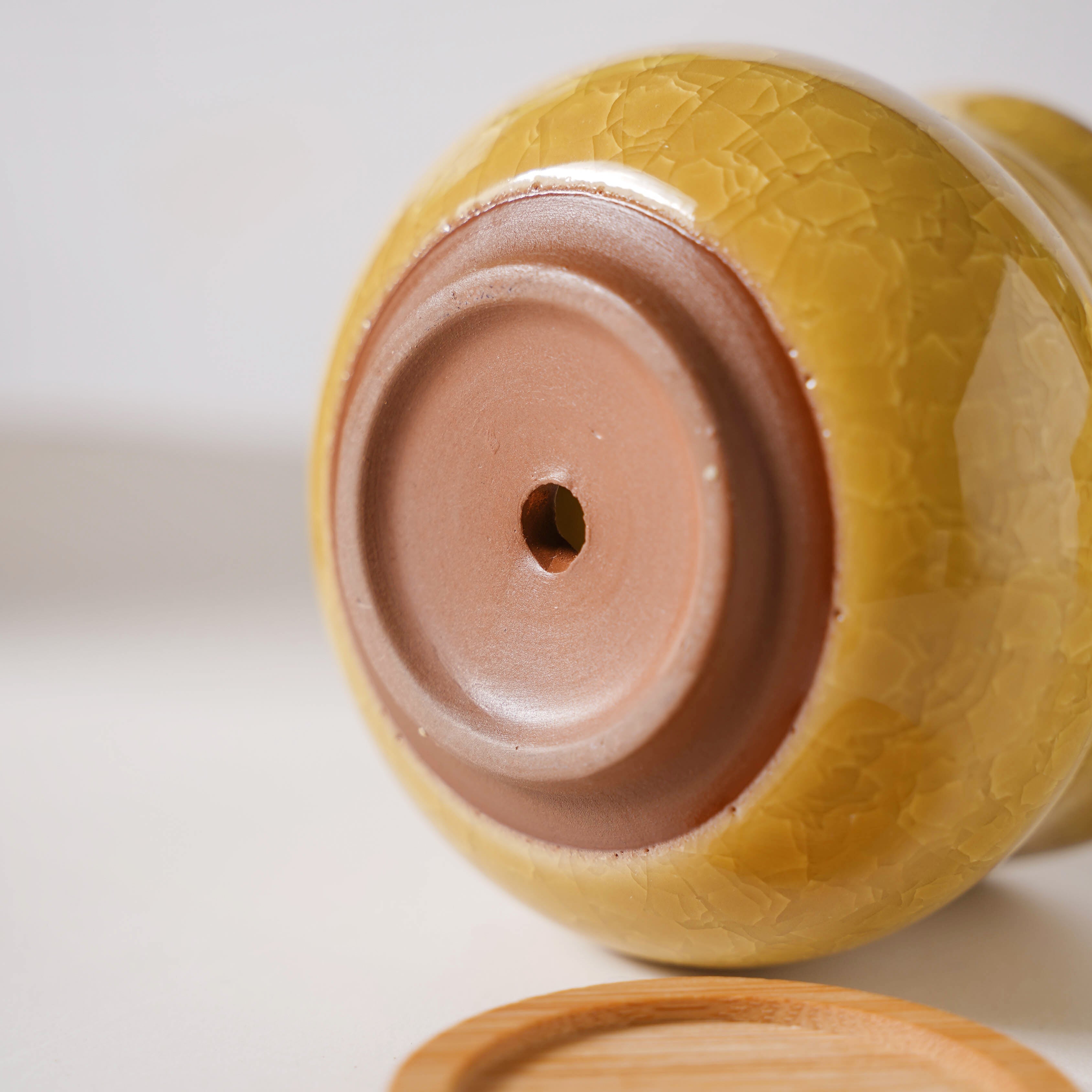 Botanica Ochre Ceramic Planter With Coaster