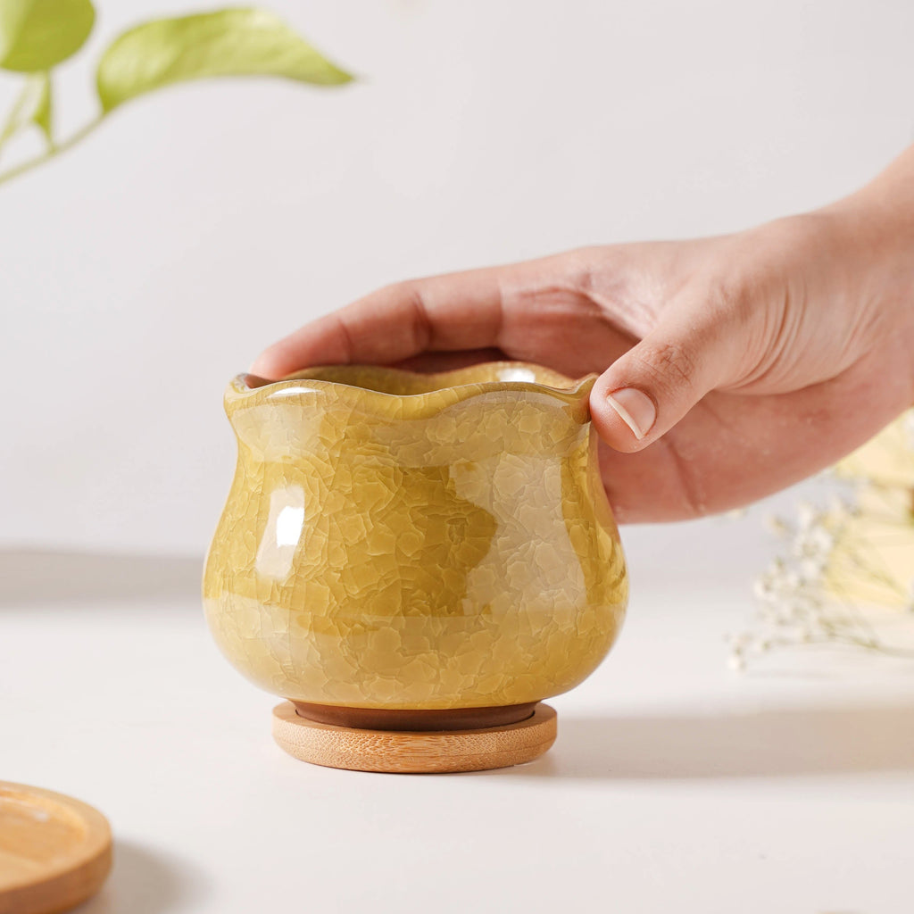 Botanica Ochre Ceramic Planter With Coaster