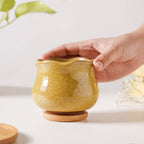 Botanica Ochre Ceramic Planter With Coaster