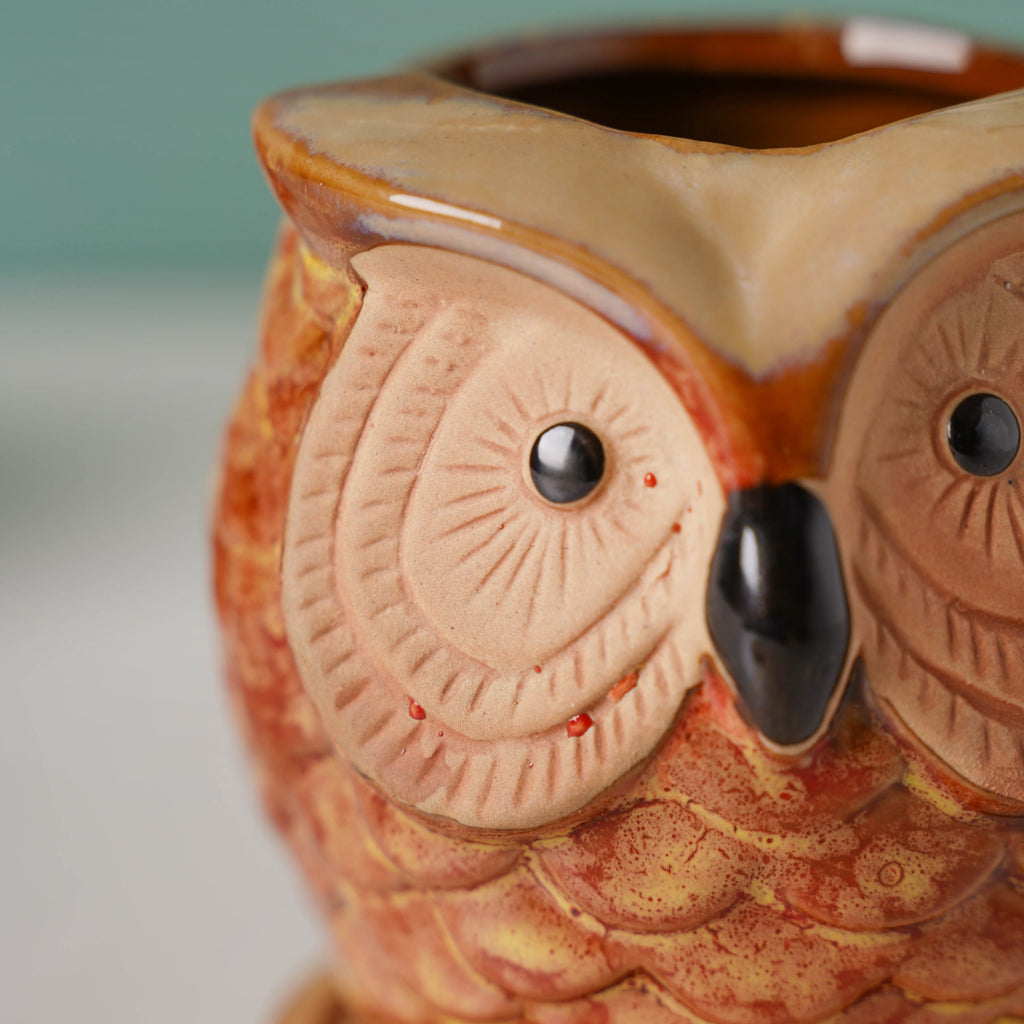 Orange Owl Ceramic Planter With Wooden Coaster