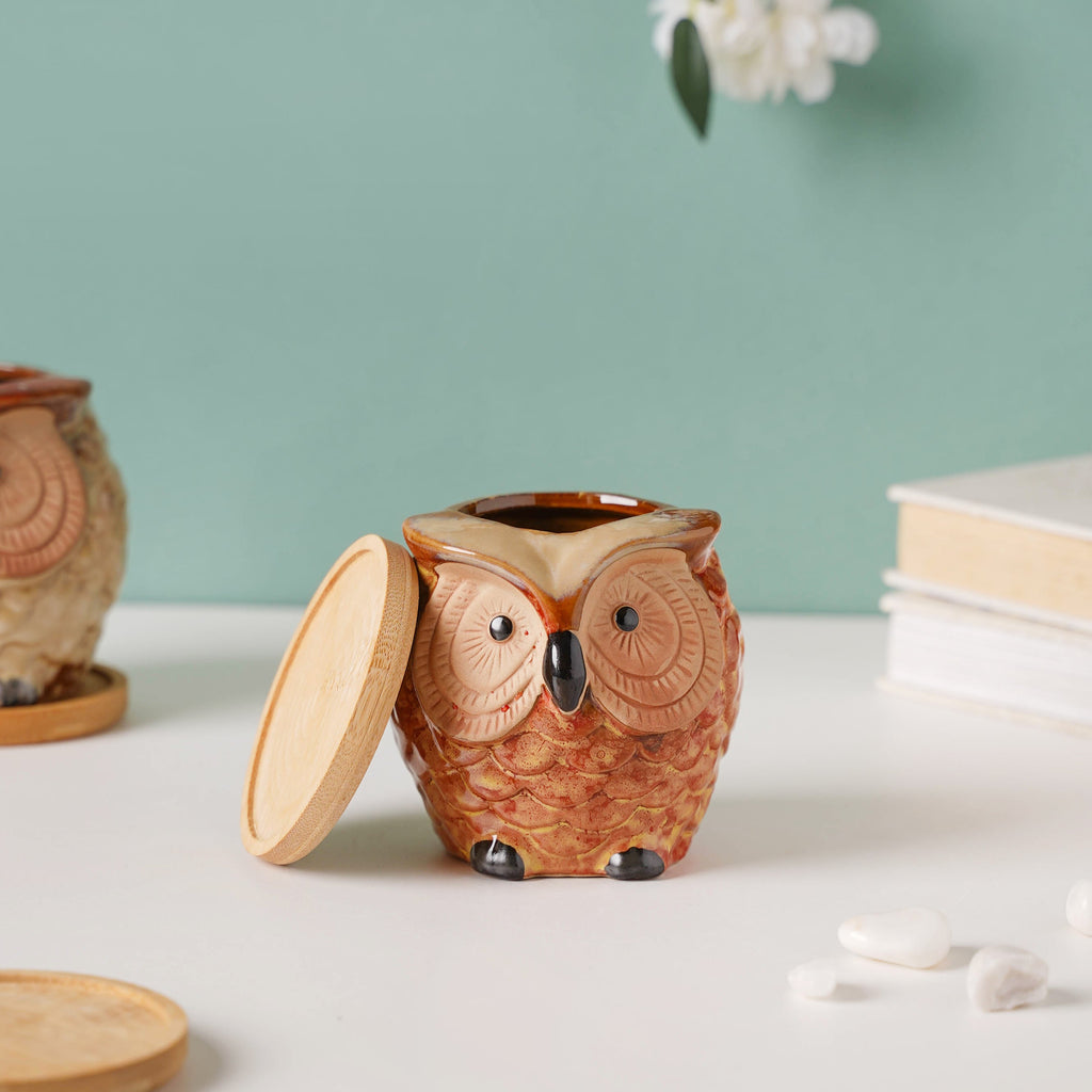 Orange Owl Ceramic Planter With Wooden Coaster