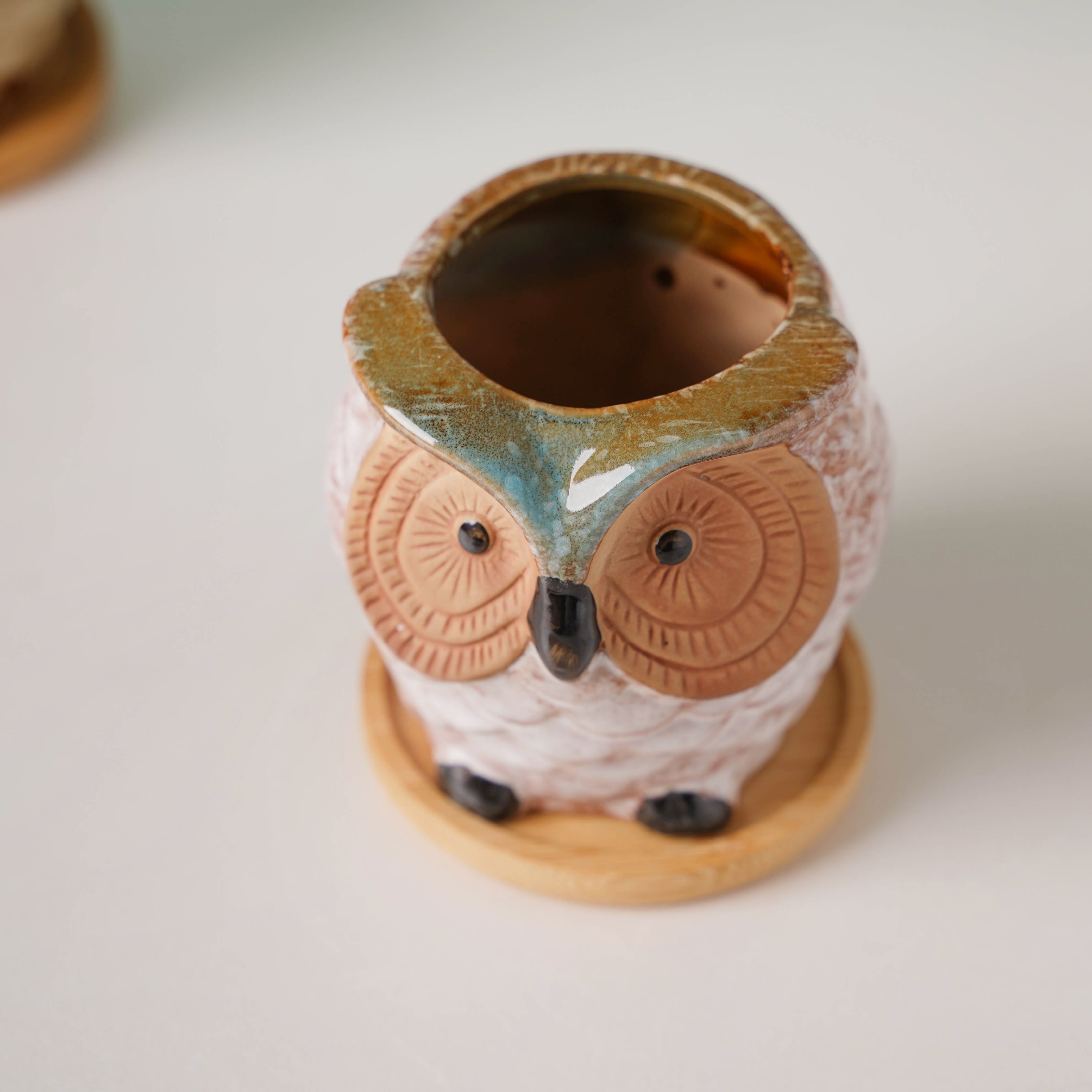 Colossal White Ceramic Owl Planter With Wooden Coaster