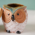 Colossal White Ceramic Owl Planter With Wooden Coaster