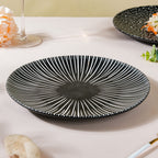 Contemporary Striped Ceramic Dinner Plate Black 9.5 Inch