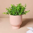 Dusky Pink Glazed Pot