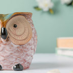 Colossal White Ceramic Owl Planter With Wooden Coaster
