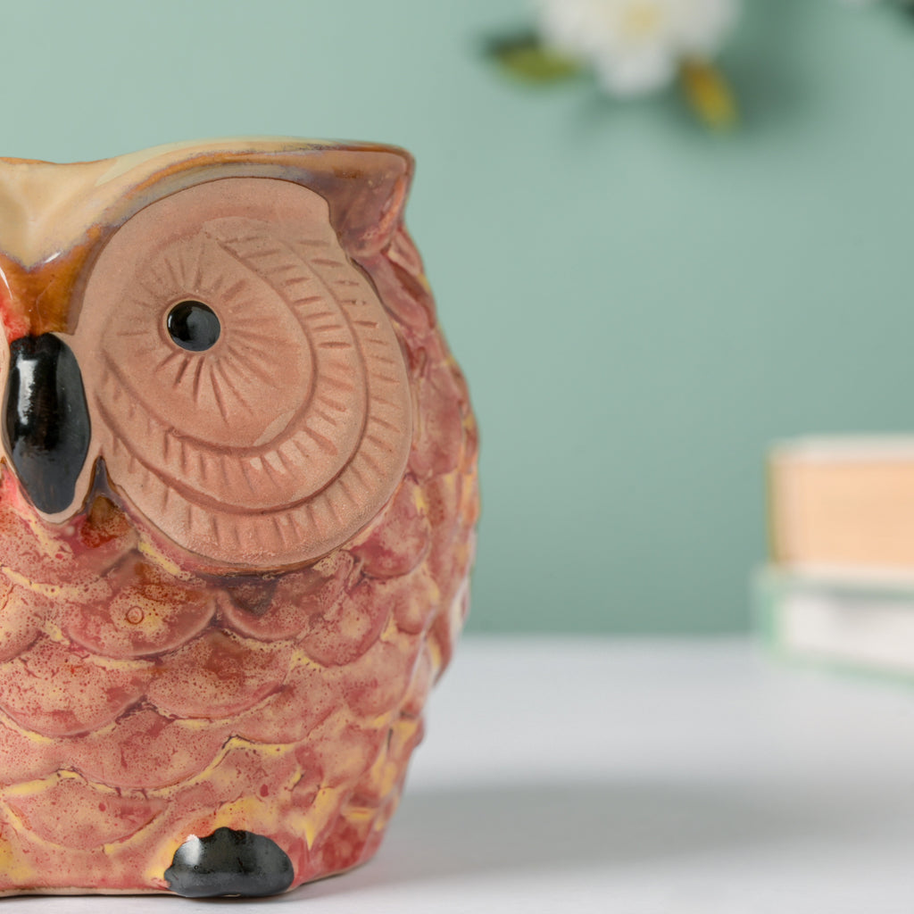 Orange Owl Ceramic Planter With Wooden Coaster