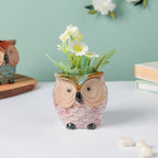 Colossal White Ceramic Owl Planter With Wooden Coaster