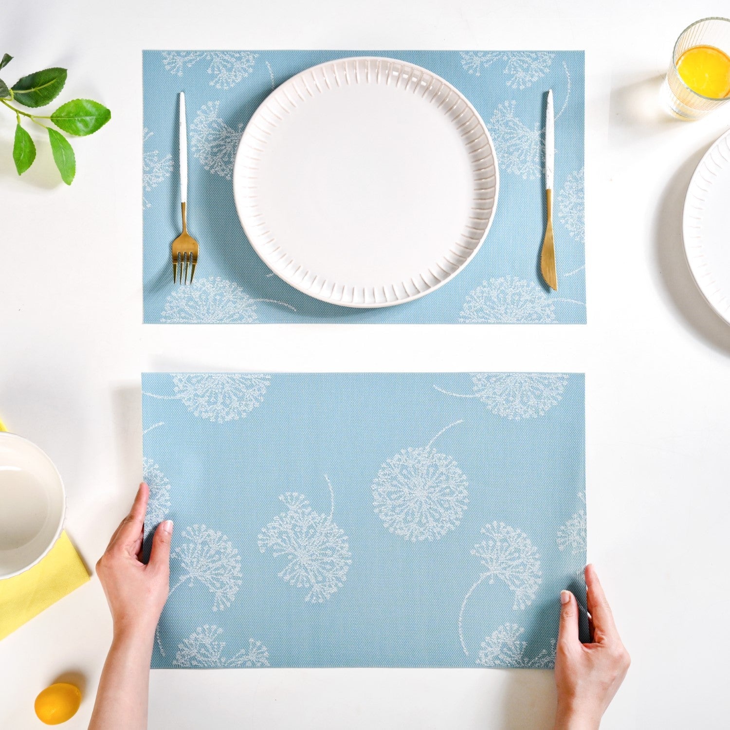 Dandelion Dream Placemat Set Of 6