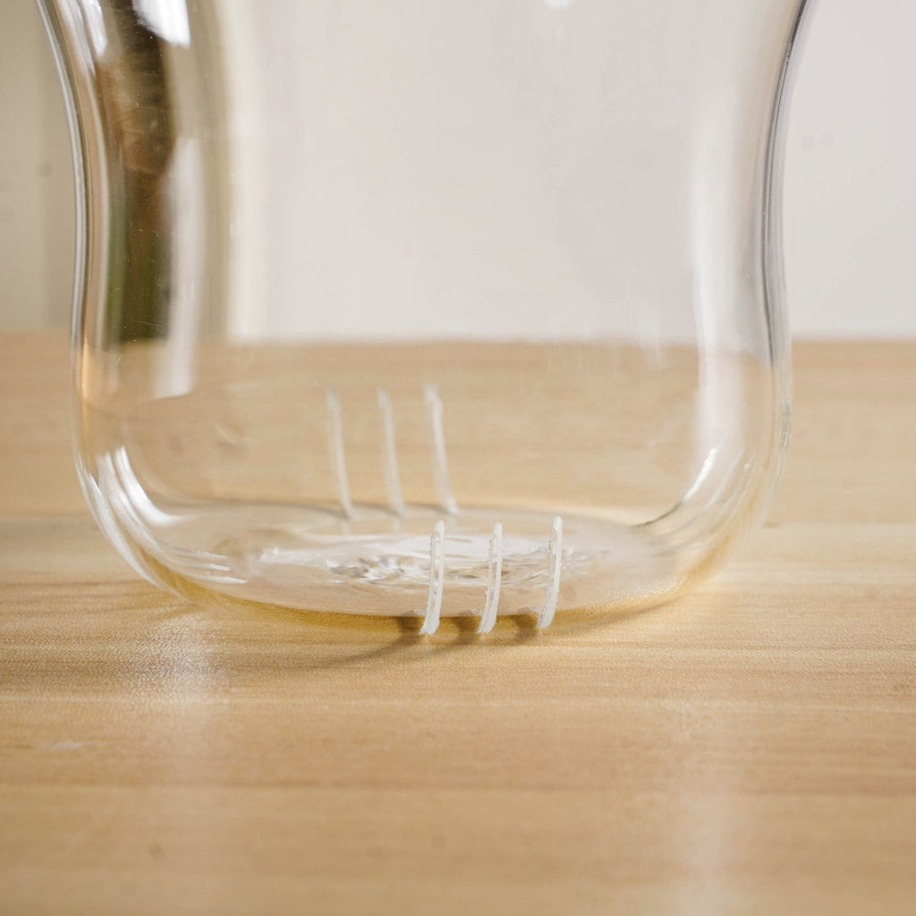 Double Walled Glass Infuser Teapot with Strainer