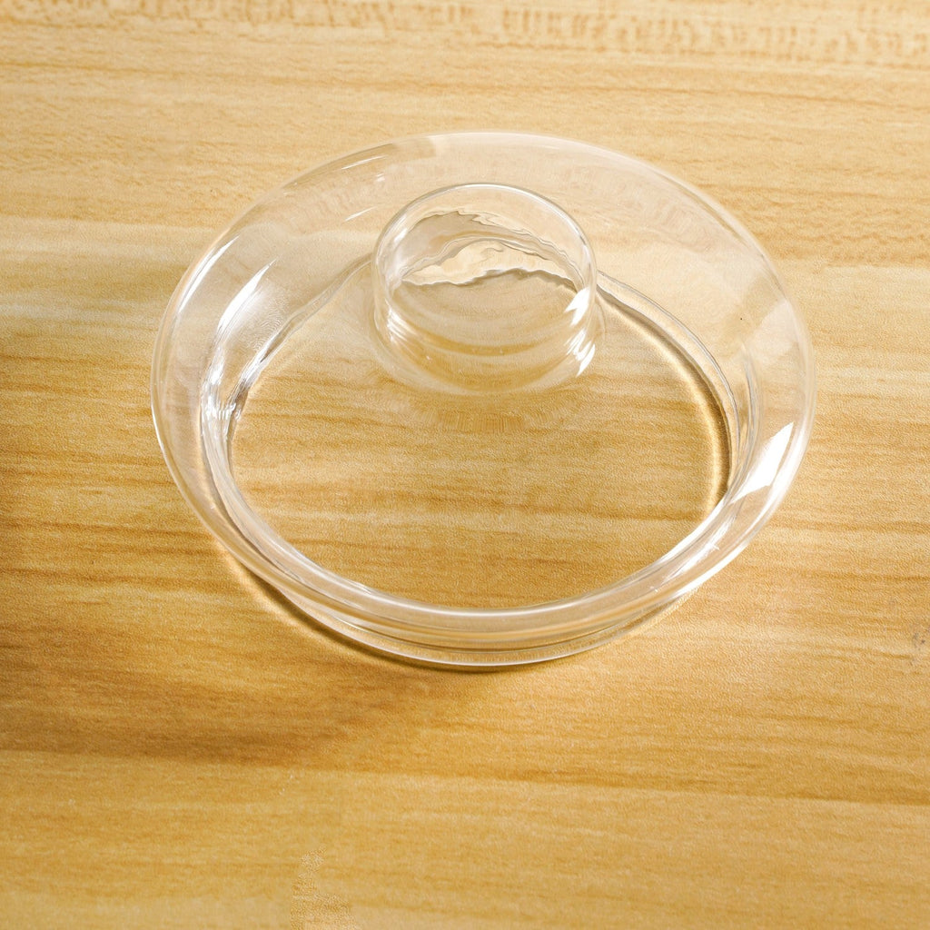 Double Walled Glass Infuser Teapot with Strainer