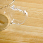 Double Walled Glass Infuser Teapot with Strainer