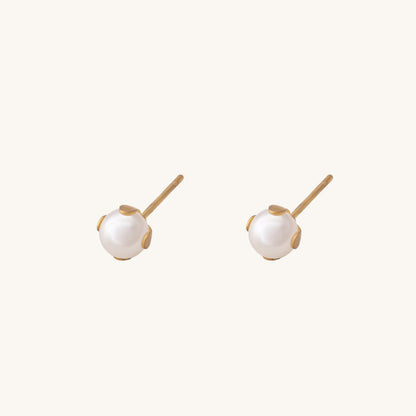 Royal Pearl Stud Earrings