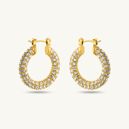 Diamond Studded Hoop Earrings