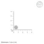 Anushka Sharma Silver Zircon Shining Star Studs