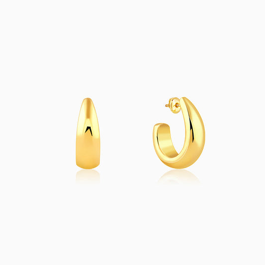 Golden Trendy Hoop Earrings