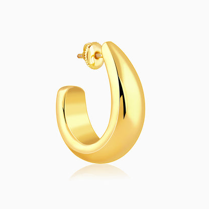 Golden Trendy Hoop Earrings