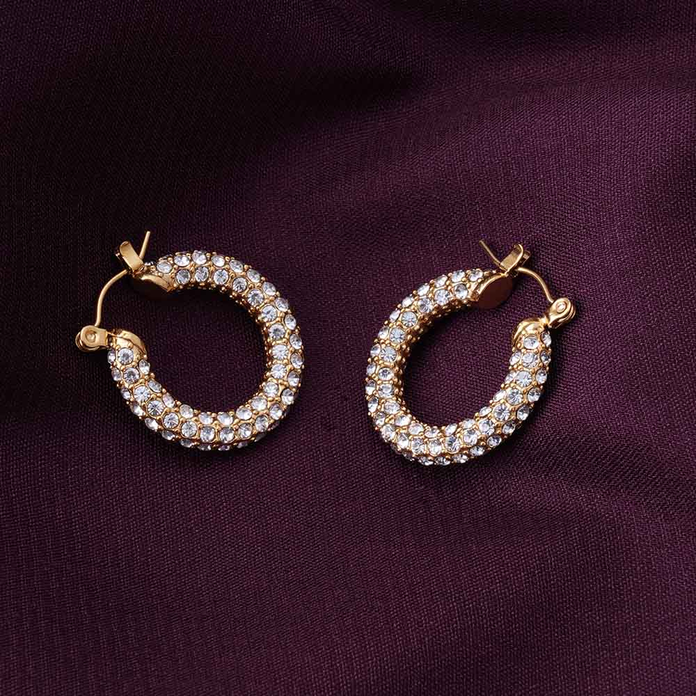 Diamond Studded Hoop Earrings