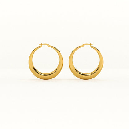Tiny Plates Bracelet & Chic Chunky Hoop Earrings Combo Set