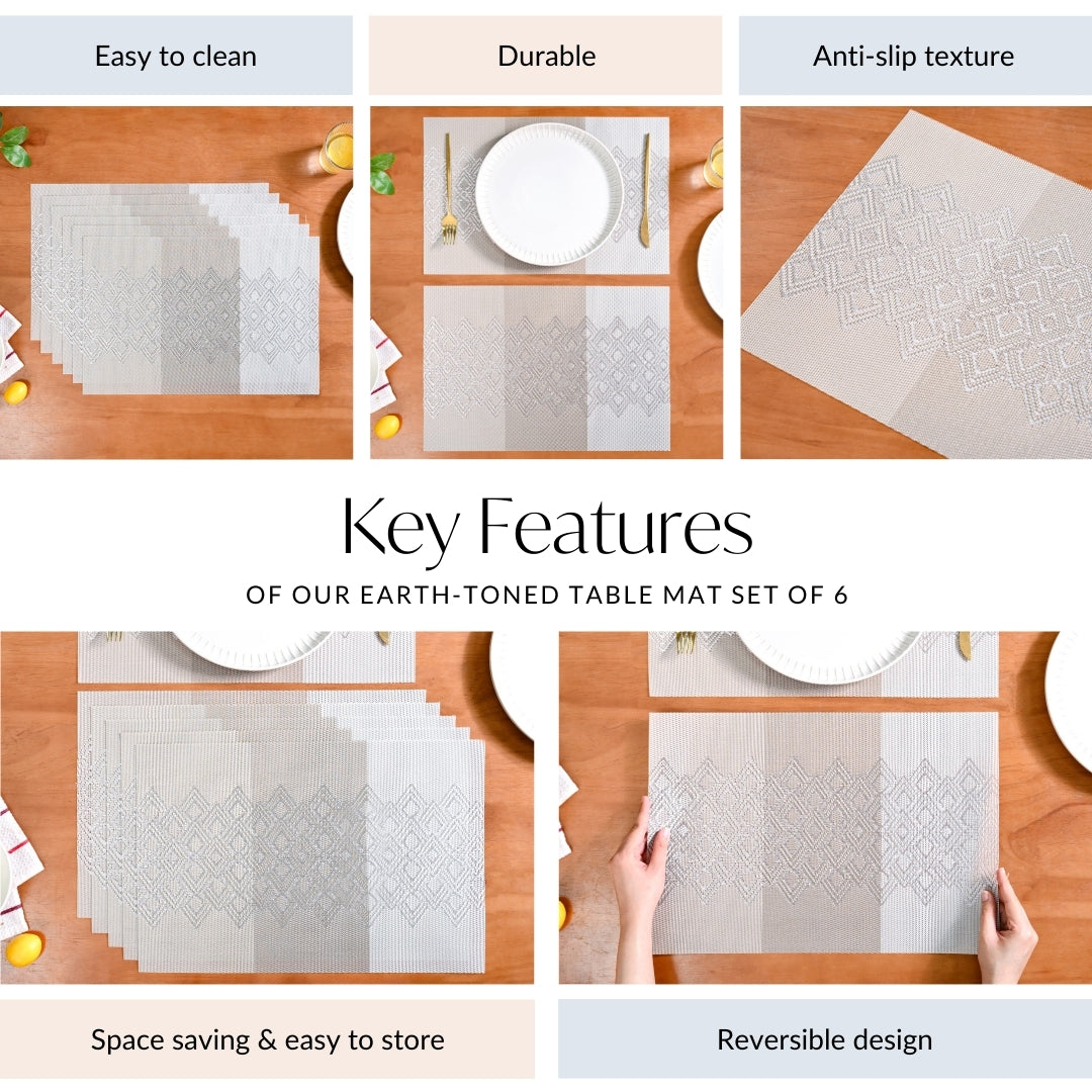 Earth Toned Table Mat Set of 6