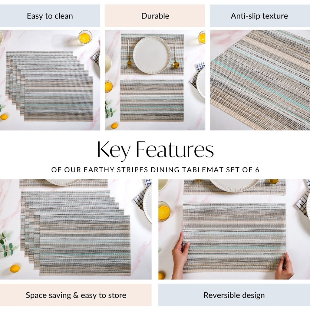 Earthy Stripes Dining Tablemat Set Of 6