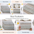 Earthy Stripes Dining Tablemat Set Of 6