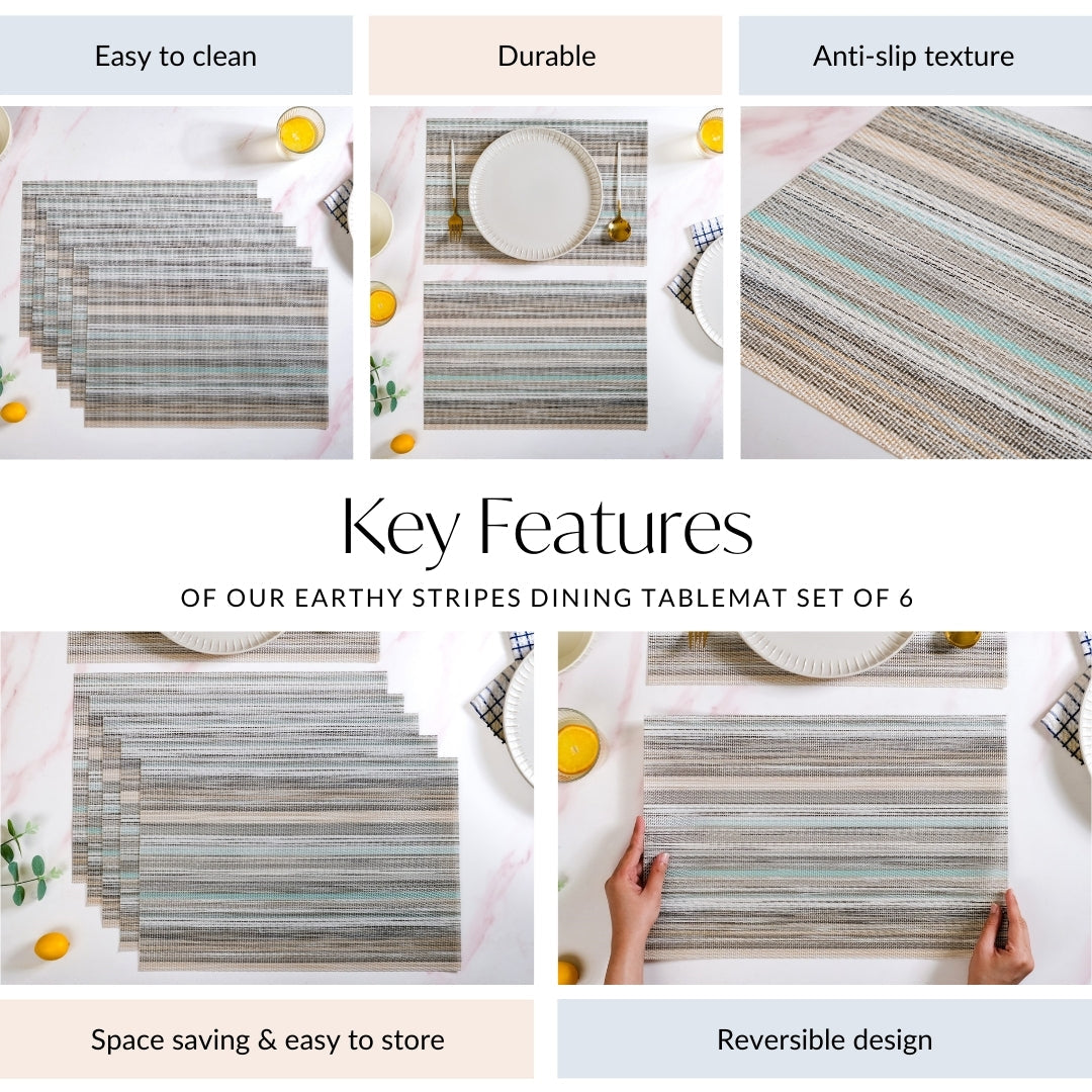 Earthy Stripes Dining Tablemat Set Of 6