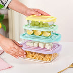 Freshlock Meal Prep Rectangular Storage Box Set Of 4