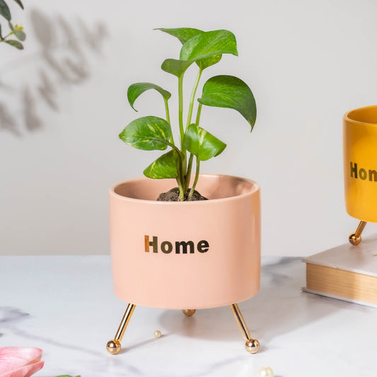 Home Ceramic Planter With Stand Pink