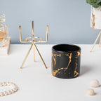 Cacti Frame Marble Ceramic Planter Black