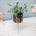 Cacti Frame Marble Ceramic Planter Black
