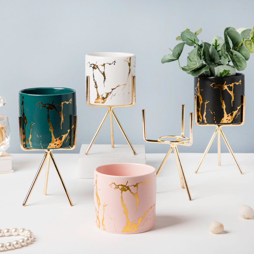 Cacti Frame Marble Ceramic Planter Black