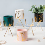 Cacti Frame Marble Ceramic Planter Black