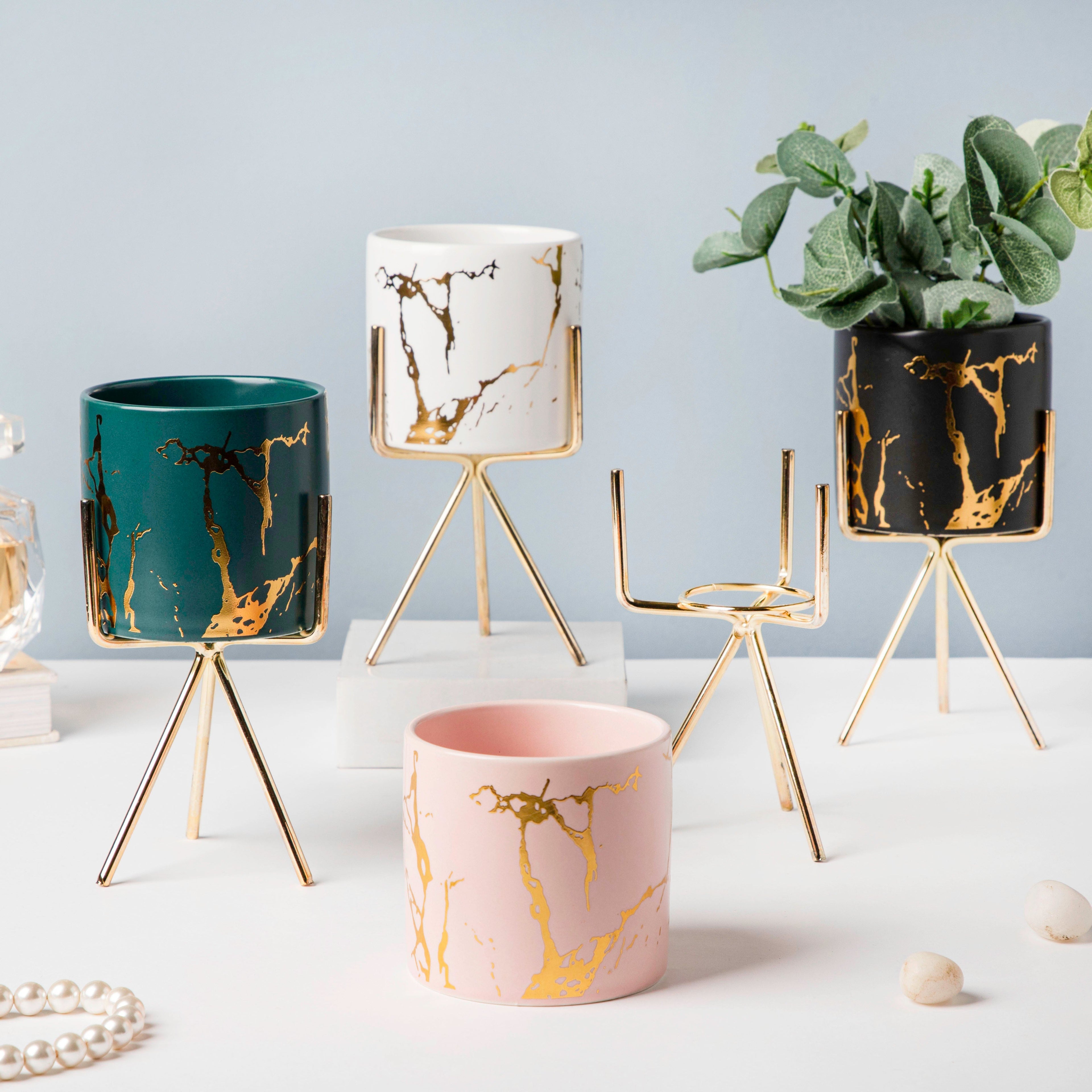 Cacti Frame Marble Ceramic Planter Black