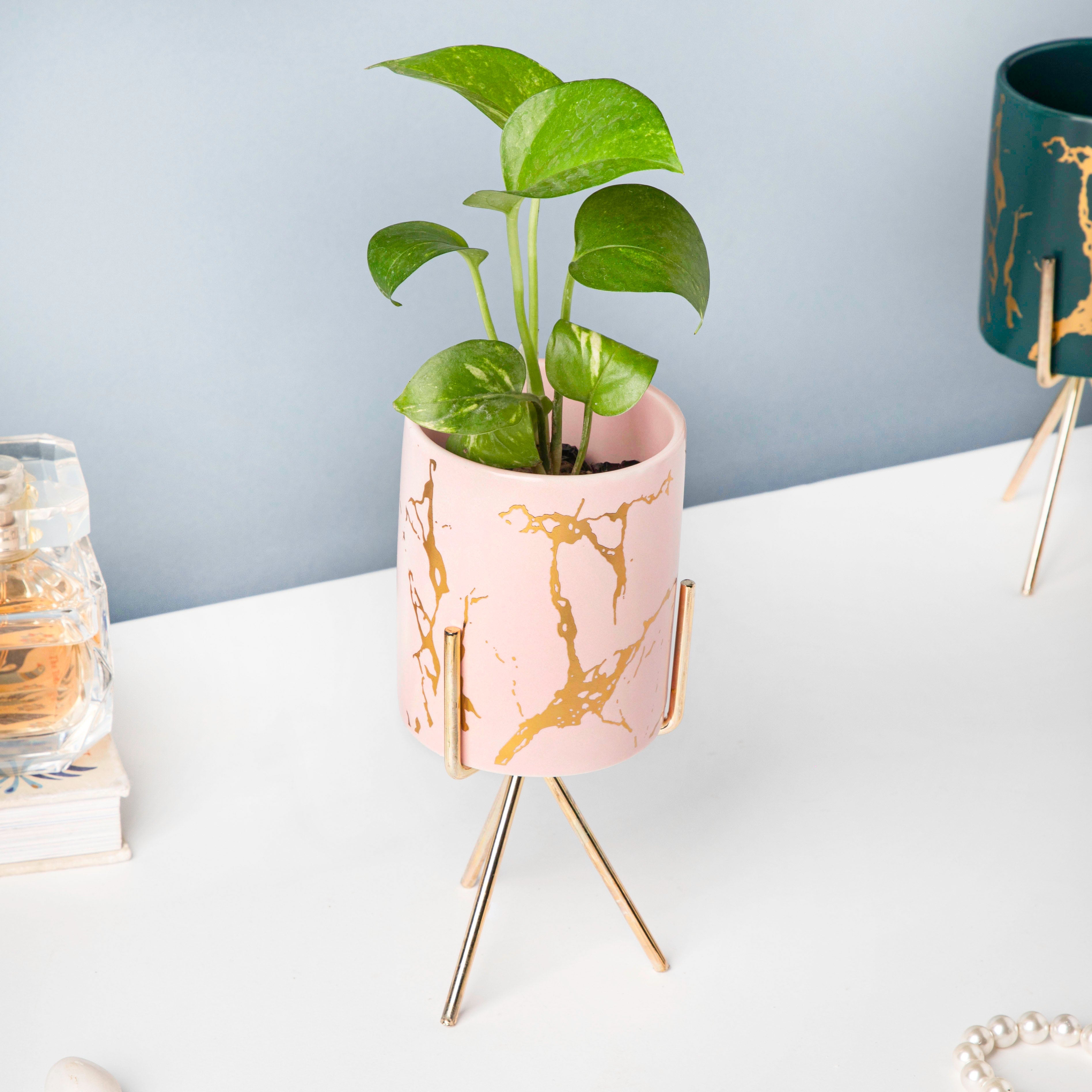 Auric Marble Pink Planter with Stand Large
