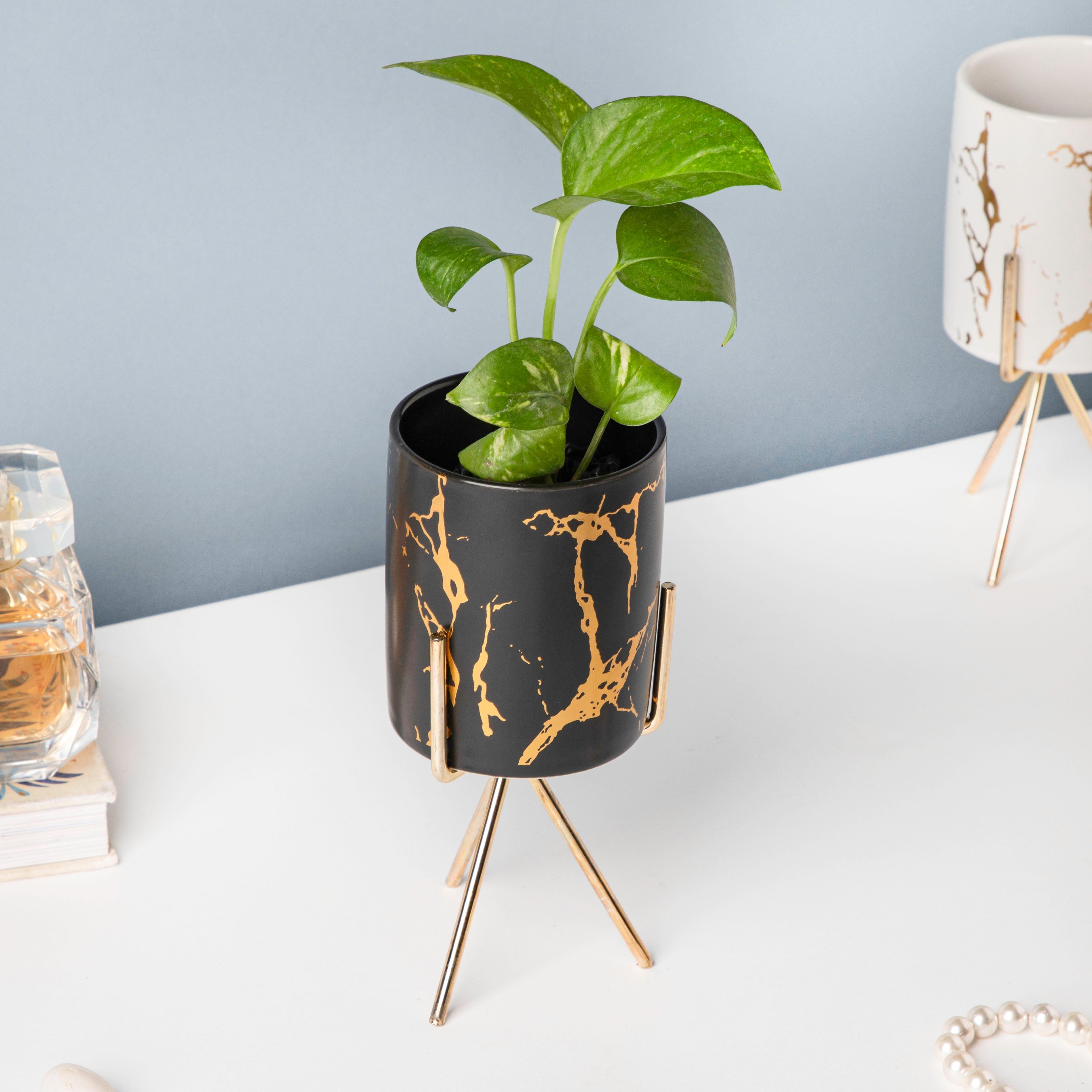 Auric Marble Black Planter with Stand Large