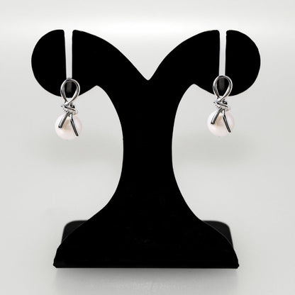 Infinite Promises Silver Drop Earrings