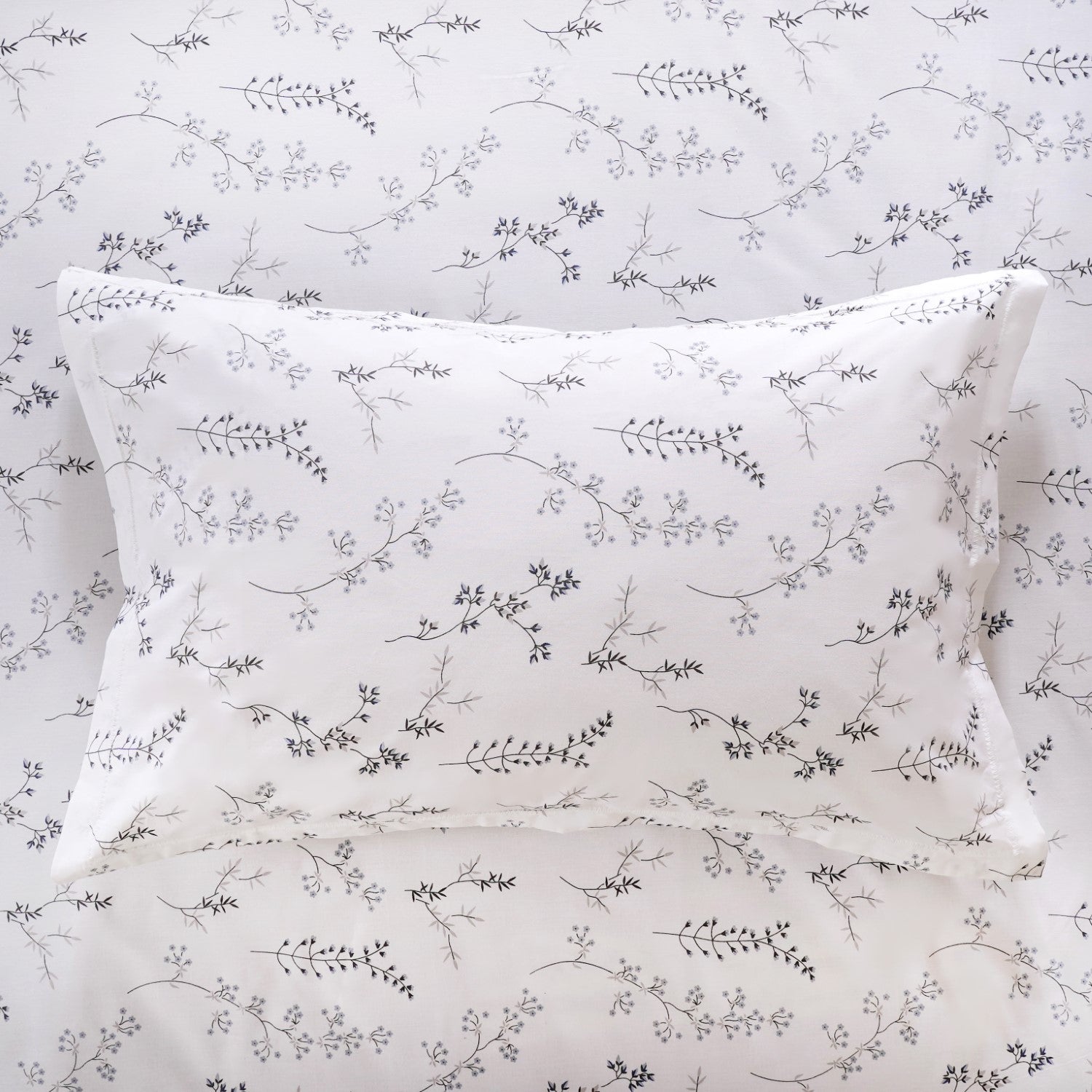 Pure Cotton Bedsheet And Pillowcase Set 180 TC Soothing Soft King Sized 275x275 cm