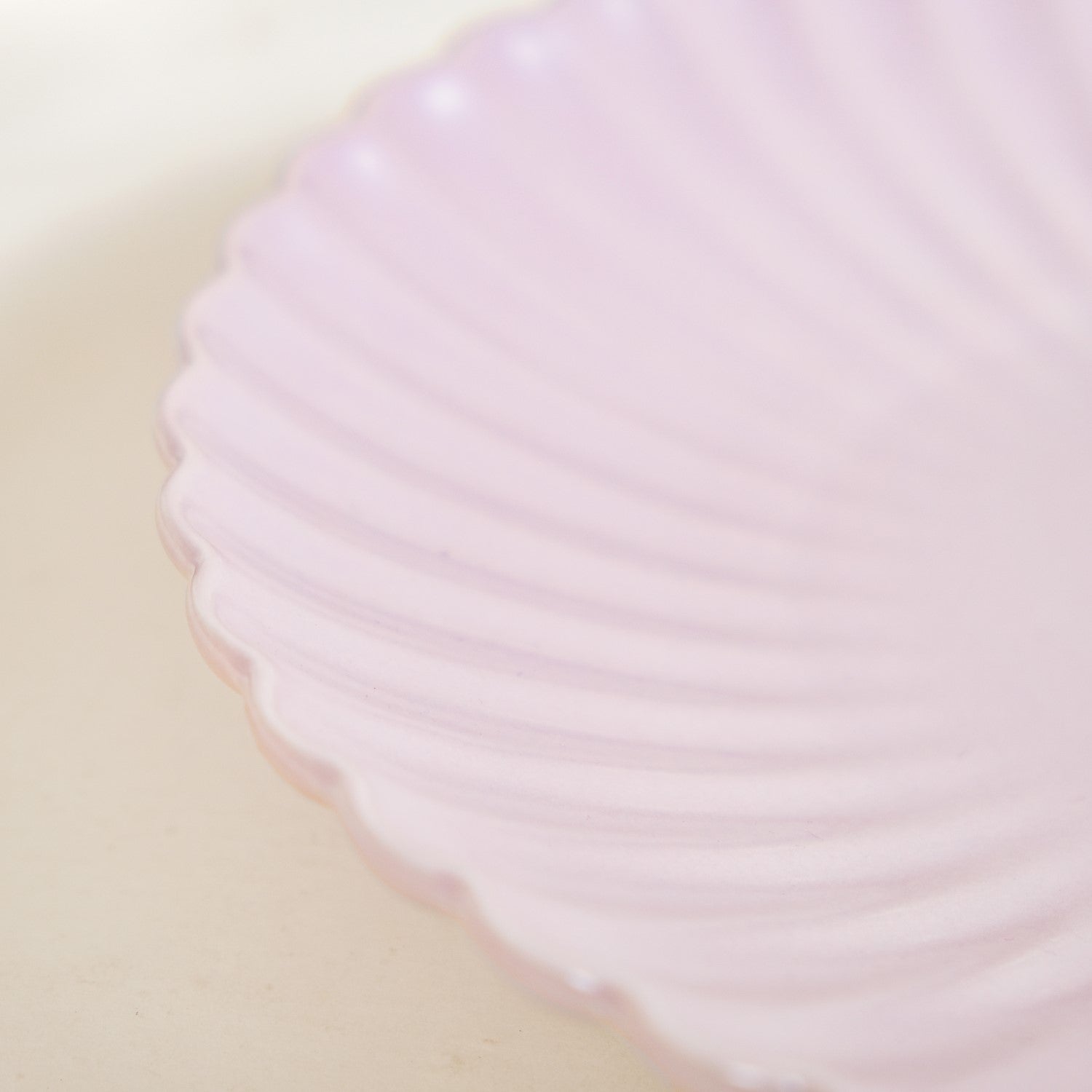 Ceramic Dinner Plates Lilac Scallop Set Of 4 10 Inch