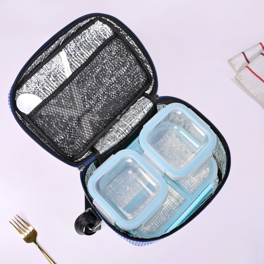Lunch Companion Insulated Lunch Bag And Tiffin Set