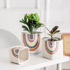 Rainbow Square Pot Medium