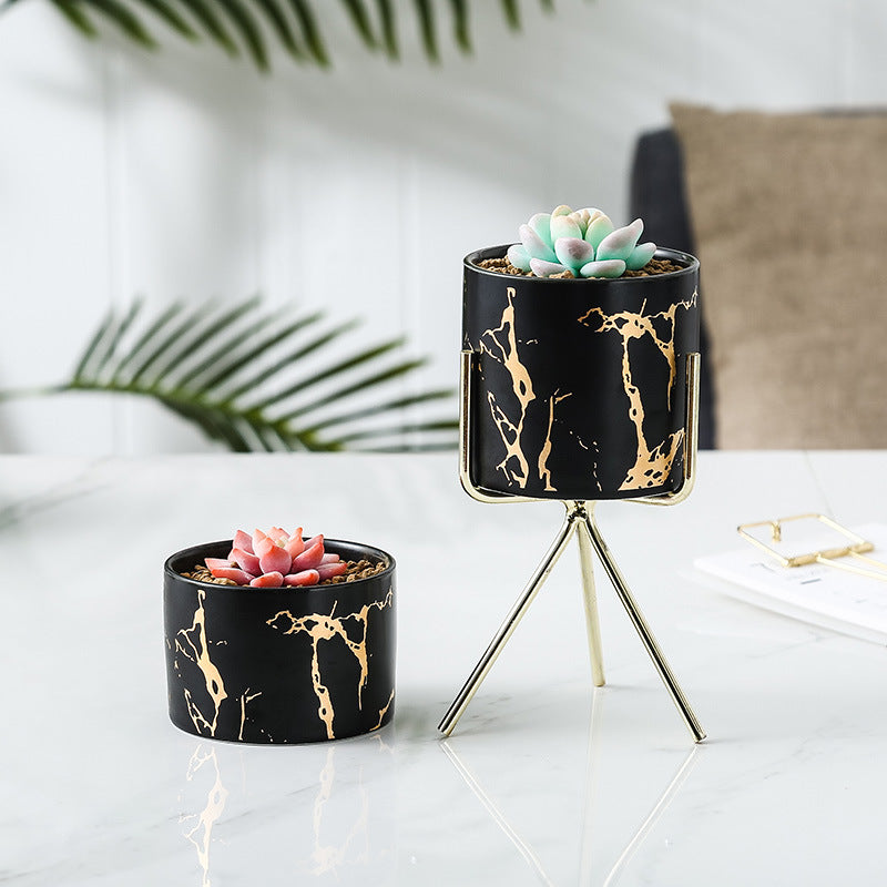 Cacti Frame Marble Ceramic Planter Black