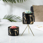 Cacti Frame Marble Ceramic Planter Black