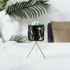 Cacti Frame Marble Ceramic Planter Black