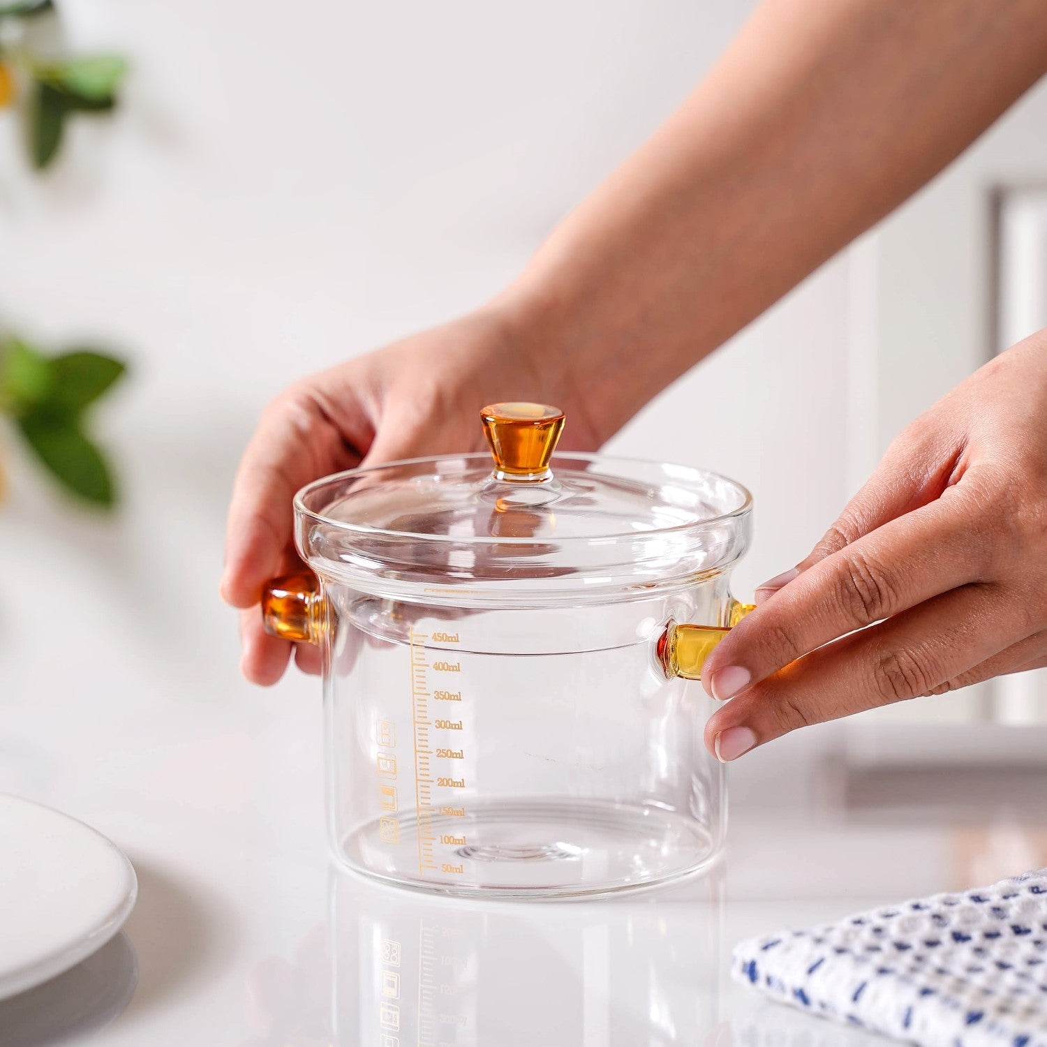 Mini Borosilicate Glass Pot With Lid 450ml