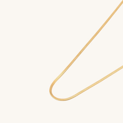 Snake Chain Necklace