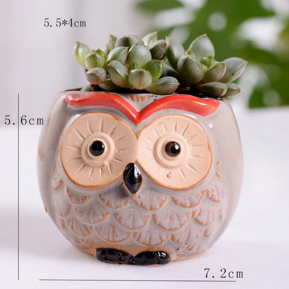 Owl Planter