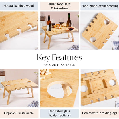 Portable Tray Table